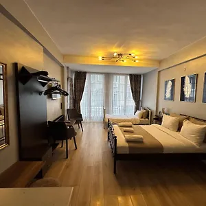Hotel Taksim Park, Istanboel